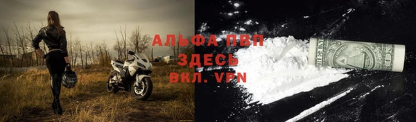 крисы Баксан