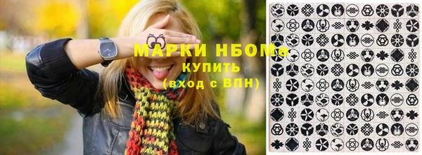 крисы Баксан