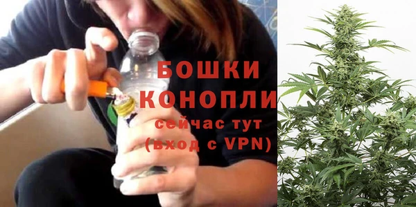 крисы Баксан
