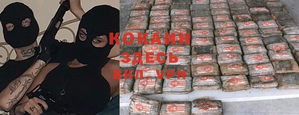 крисы Баксан