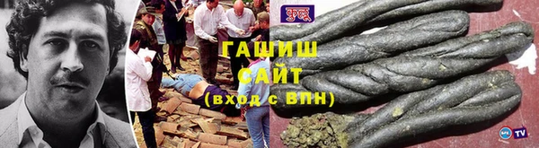 крисы Баксан