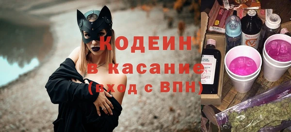 крисы Баксан